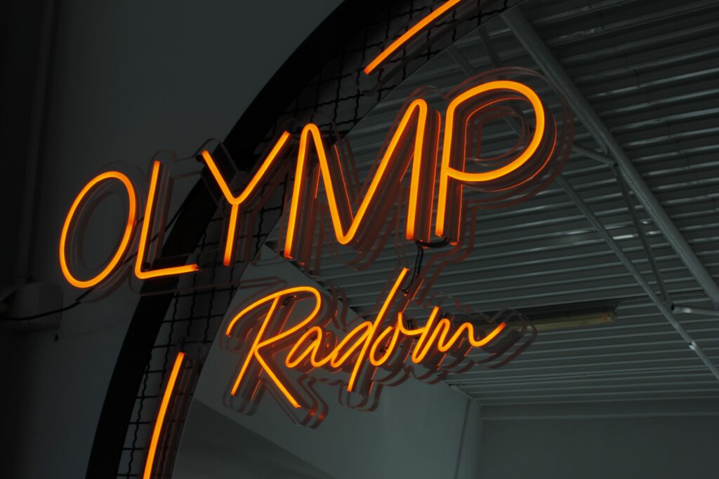 Neon żelowy LED Neonflex Home
